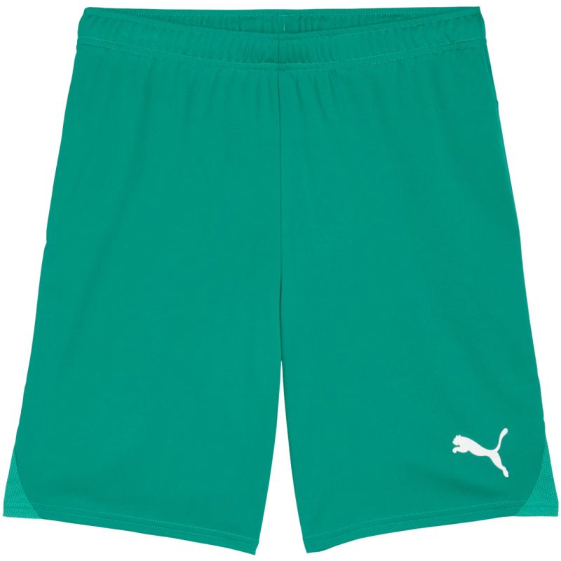 Puma Team Goal men's shorts green 705752 05