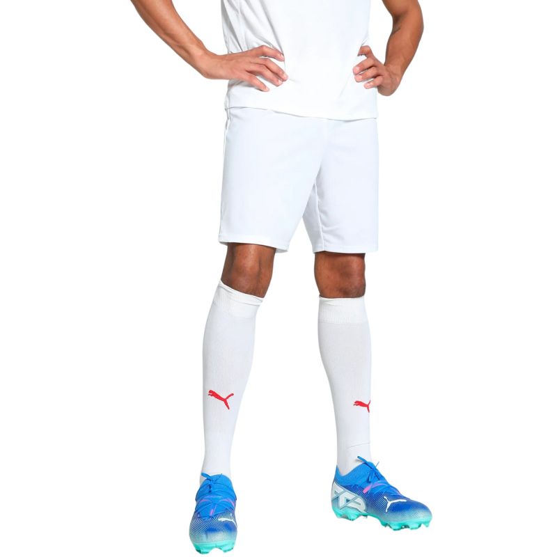 Puma Team Goal men's shorts white 705752 04