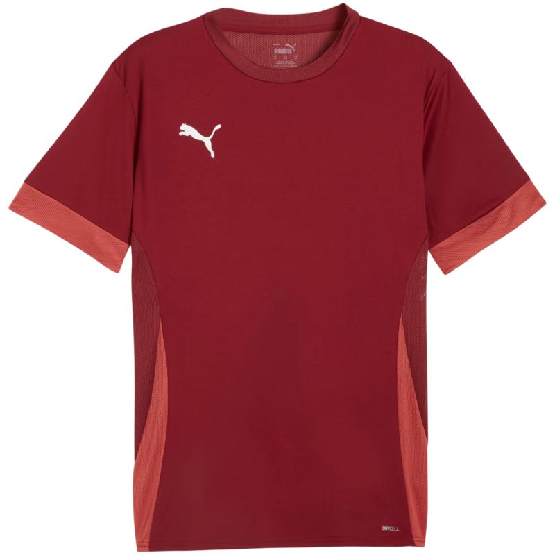 Puma teamGoal Matchday Jersey men's burgundy 705747 09
