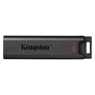 Флеш-накопитель USB Kingston DataTraveler Max 256 ГБ