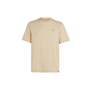 O'Neill Small Logo T-Shirt M 92800613999