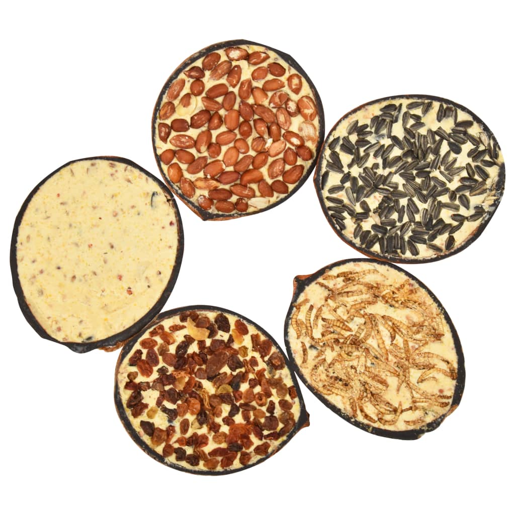 Linnutoiduga täidetud kookospähkel riputamiseks