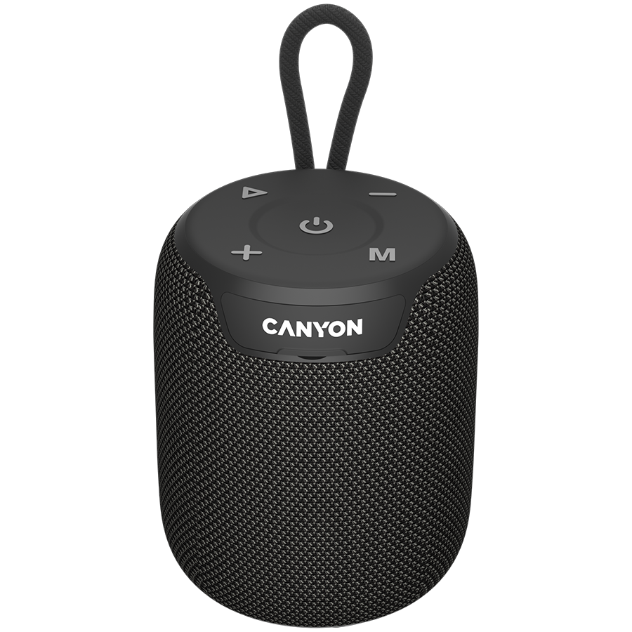 CANYON OnMove 9 IPX6 TWS 10W Black - портативная колонка