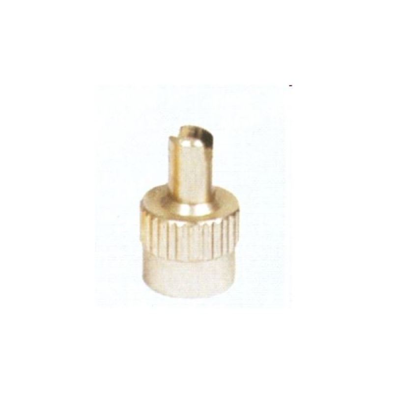AV nut with valve key, packed in 10s
