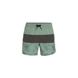 O'Neill Mix&Match Cali Block Swim Shorts 15'' M 92800613820