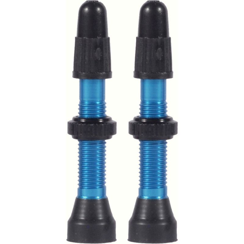 WTB FV TCS Valve 46mm Blue