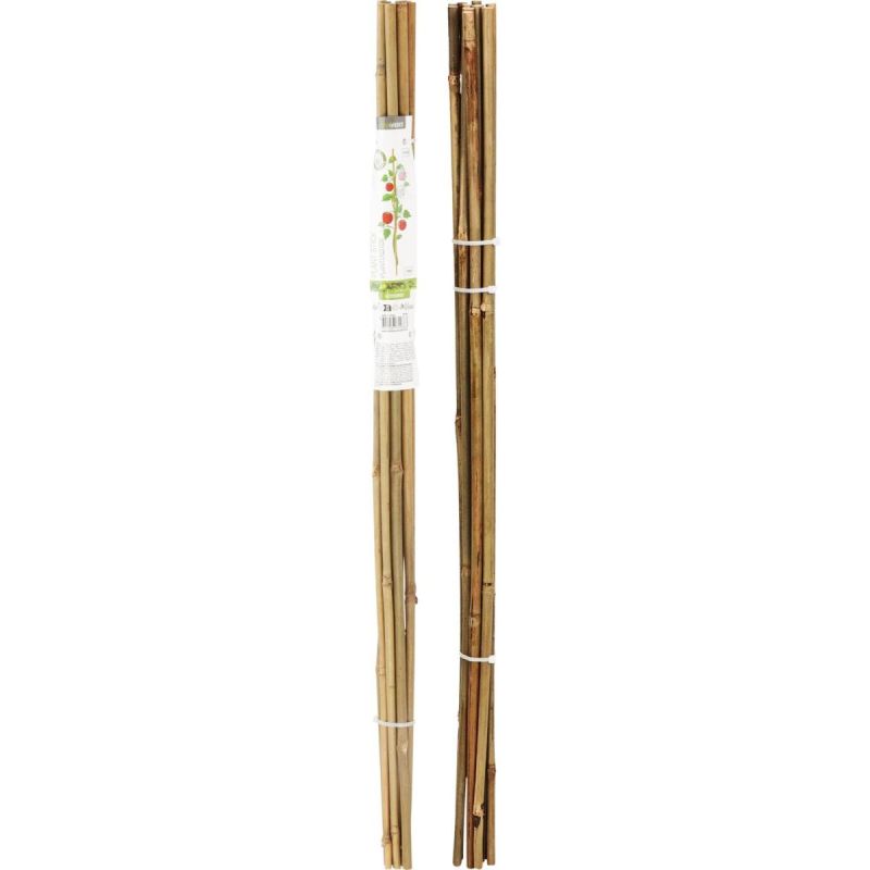 PROGARDEN BAMBOO PLANT SUPPORT 78 CM 10 PCS