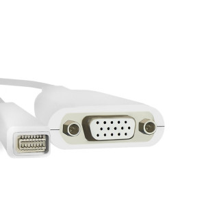 Qoltec Mini DVI adapter male | VGA female