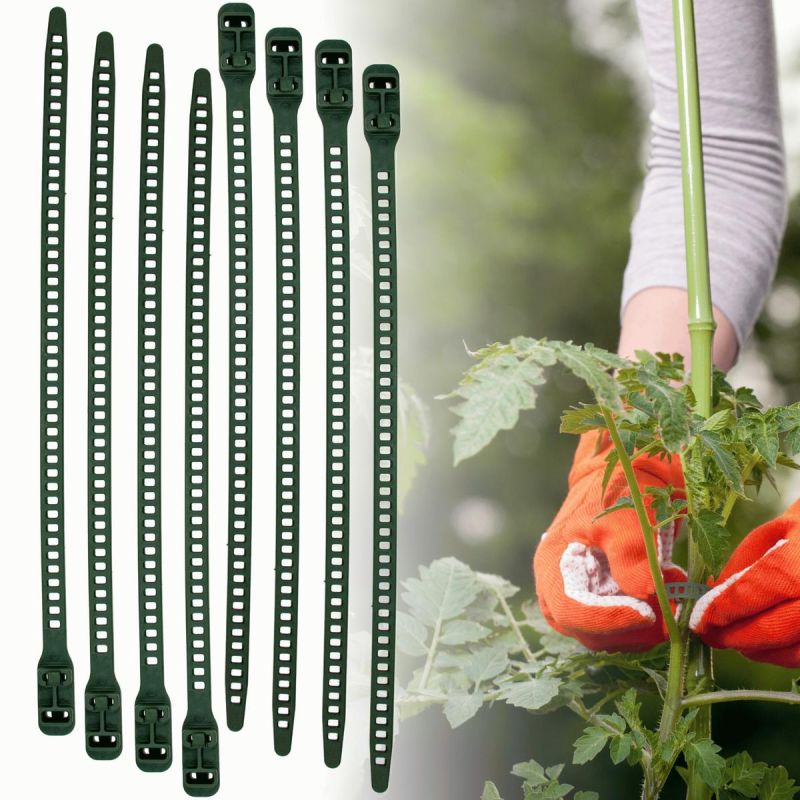 PLANT ACCESSORIES GARDEN BAND 8 PCS PROGARDEN