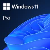 Microsoft Windows 11 Pro OEM litsentsi pakend