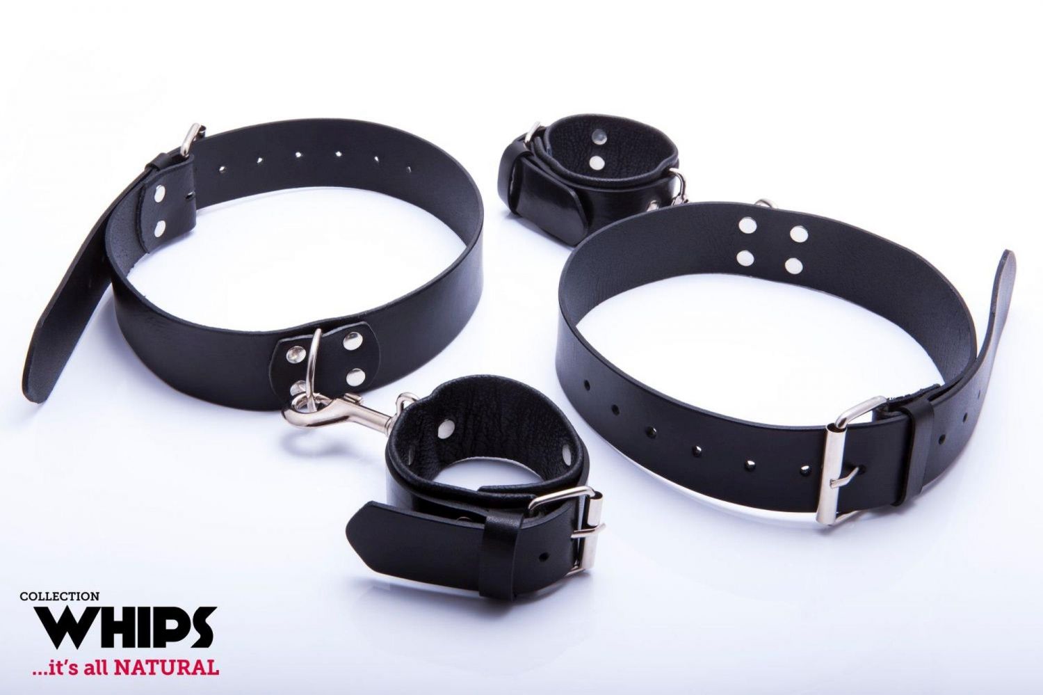 WHIPS Meeste Reierakmed