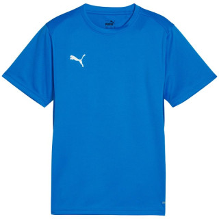 Puma TeamGoal Jersey for kids blue 658637 02