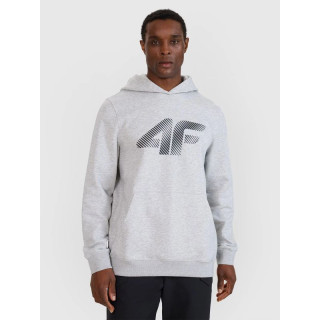 Men's sweatshirt with hood, open, 4F 4FWMM00TSWSM1766-27M
