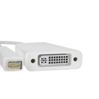 Qoltec Mini DVI adapter male | DVI (24+5) female