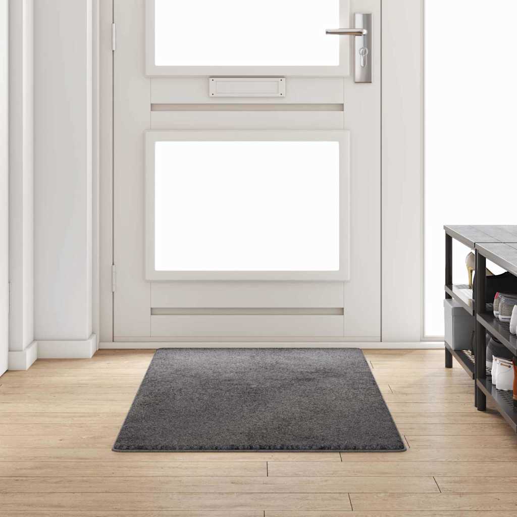 Vaip jooksur Hall 80 x 200 cm 100% polüpropüleen tuft