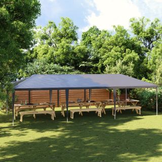 professionaalne peotelk, 4 x 9 m, antratsiithall, 90 g/m²