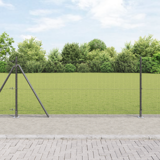 keevitatud traadi aed 13 flanged postiga Hall 0.8x25 m Teras