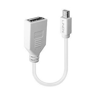 ADAPTER MINI DP TO DP/0.2M 41021 LINDY