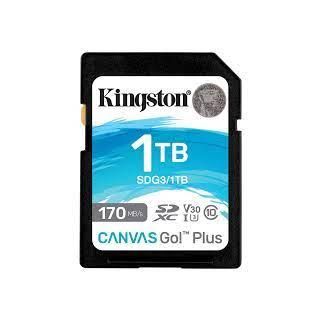 MEMORY SDXC 1TB UHS-I/SDG3/1TB KINGSTON