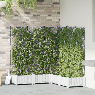 Aia taimede alus trelliga 5 tk Valge 120x120x125.5 cm