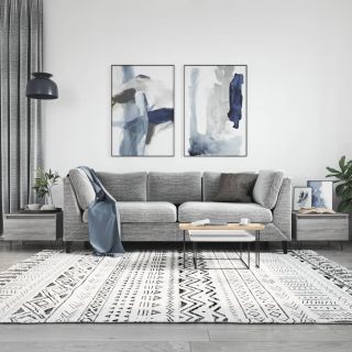 kohvilauad 2 tk, hall Sonoma tamm, 50 x 46 x 35 cm, tehispuit