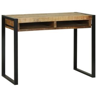 Riidepeegel koos peegliga 100x50x75 cm Tootmine Raske Puit Mango