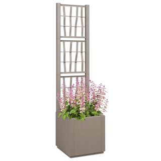 Aia Istutuskast Trellisega Helepruun 36x36x140 cm PP