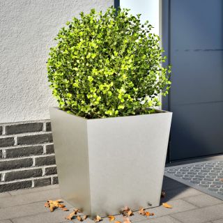 aia taimekastid 2 tk, 50x50x50 cm, roostevaba teras
