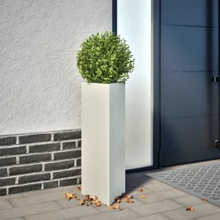 aia taimekastid 2 tk, valge, kolmnurk, 30x26x75 cm, teras
