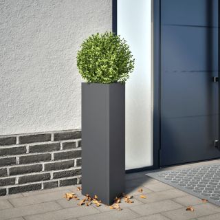 aia taimekast, antratsiit, kolmnurk, 30x26x75 cm, teras
