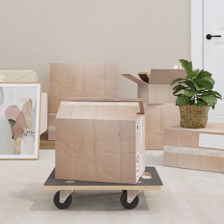 transpordikärud 2 tk, ristküliku kuju, 50x35x11,5 cm 250 kg