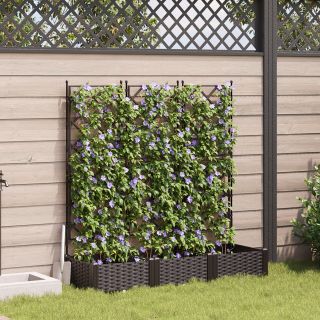 Aiakast trellisega 3 tk Prun 120x40x125.5 cm