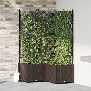 Aiakast trellisega 3 tk Pruun 80x80x143 cm
