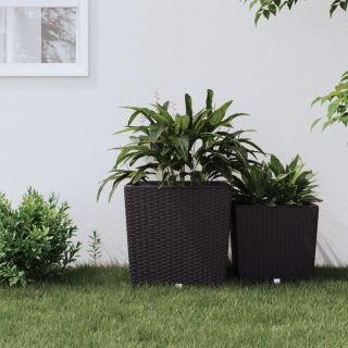 taimekast eemaldatava sisuga, pruun, 37 / 64 l PP-rotang