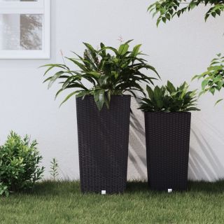taimekast eemaldatava sisuga, antratsiithall, 21/49 l PP-rotang