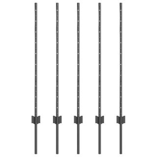 aiapostid 10 tk U-kanal Hall 100 cm Teras