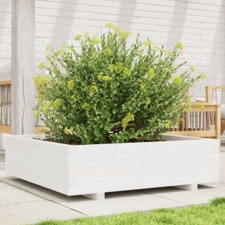 aia taimekast, valge, 90 x 90 x 26,5 cm, männipuit