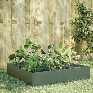 kõrgendatud aia taimelava oliiviroheline 100x100x33,5 cm teras