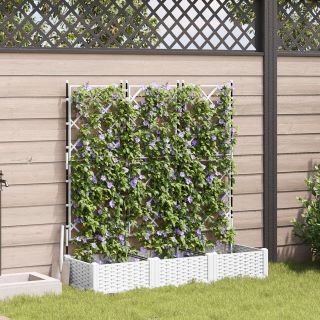 Aiakast trelliga 3 tk Valge 120x40x125.5 cm