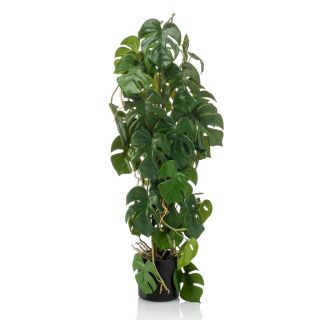 Emerald kunsttaim Monstera potis, 75 cm