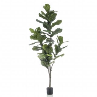 Emerald kunsttaim lüüra-viigipuu, 160 cm