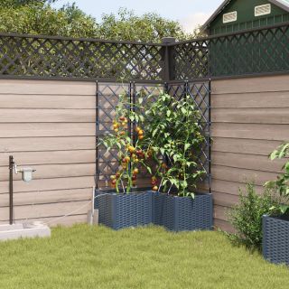 Aedade Plantatsioonid veetäitmissüsteemiga 3 tk Hall