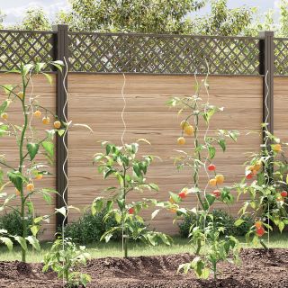 Spiraalsed taime toed 5 tk 150 cm Galvaniseeritud teras