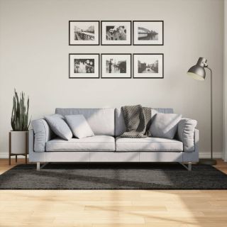 vaip ISTAN, kõrge narmaga, läikiv, antratsiithall, 100x200 cm