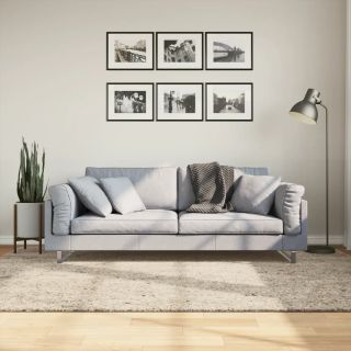 vaip ISTAN, kõrge narmaga, läikiv välimus, beež , 160x230 cm