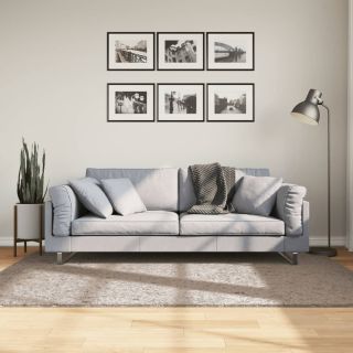 kõrge narmaga Shaggy vaip, beež, 140 x 200 cm