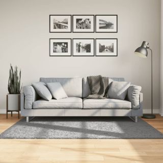 kõrge narmaga Shaggy vaip, hall, 120x170 cm