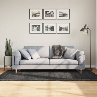 kõrge narmaga Shaggy vaip PAMPLONA, antratsiithall 100x200 cm