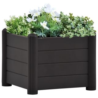 aia taimelava PP antratsiithall 43 x 43 x 35 cm