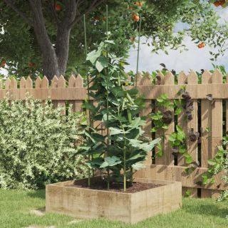aia taimetoed 4 rõngaga 5 tk roheline 90 cm teras